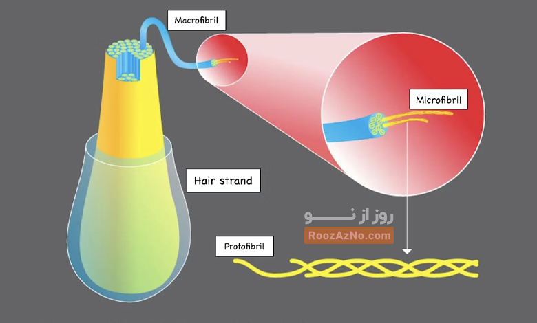 Proteins such as hair keratin