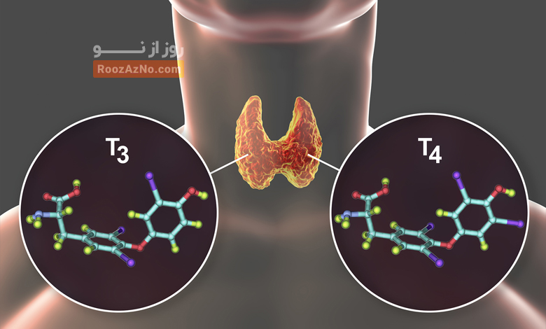 Thyroid hormones and their effects on hair
