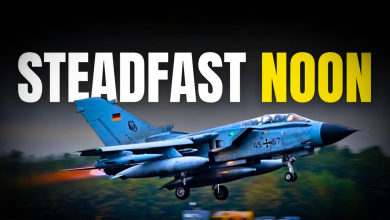 Steadfast Noon
